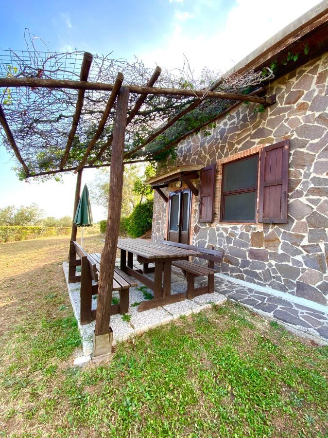 Agriturismo “Sterrati” Valpiana  Exterior foto